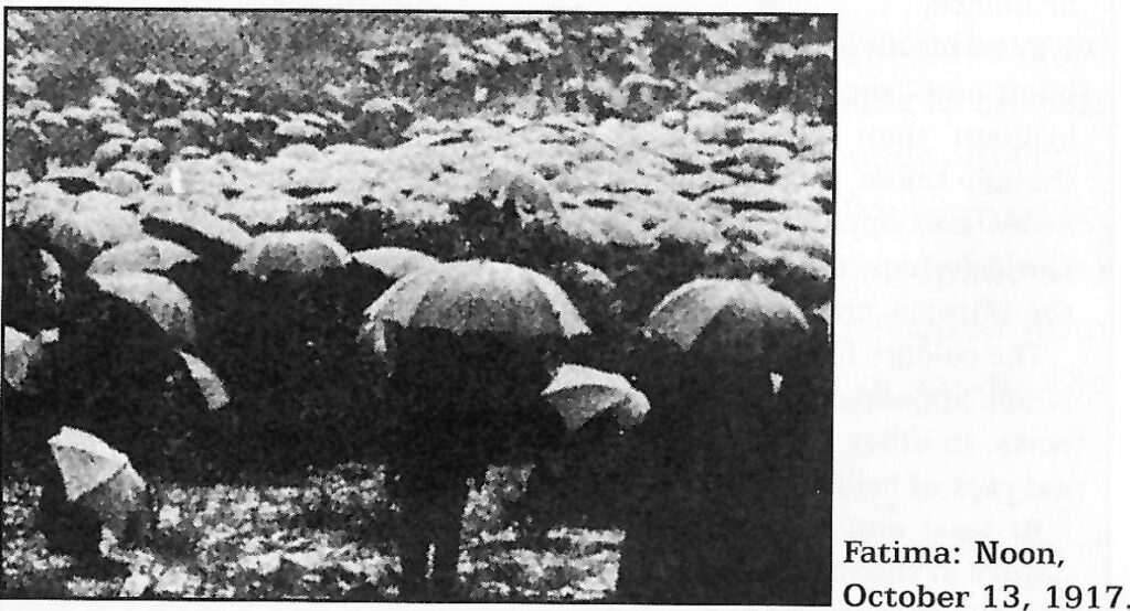 Ftima Noon Umbrellas