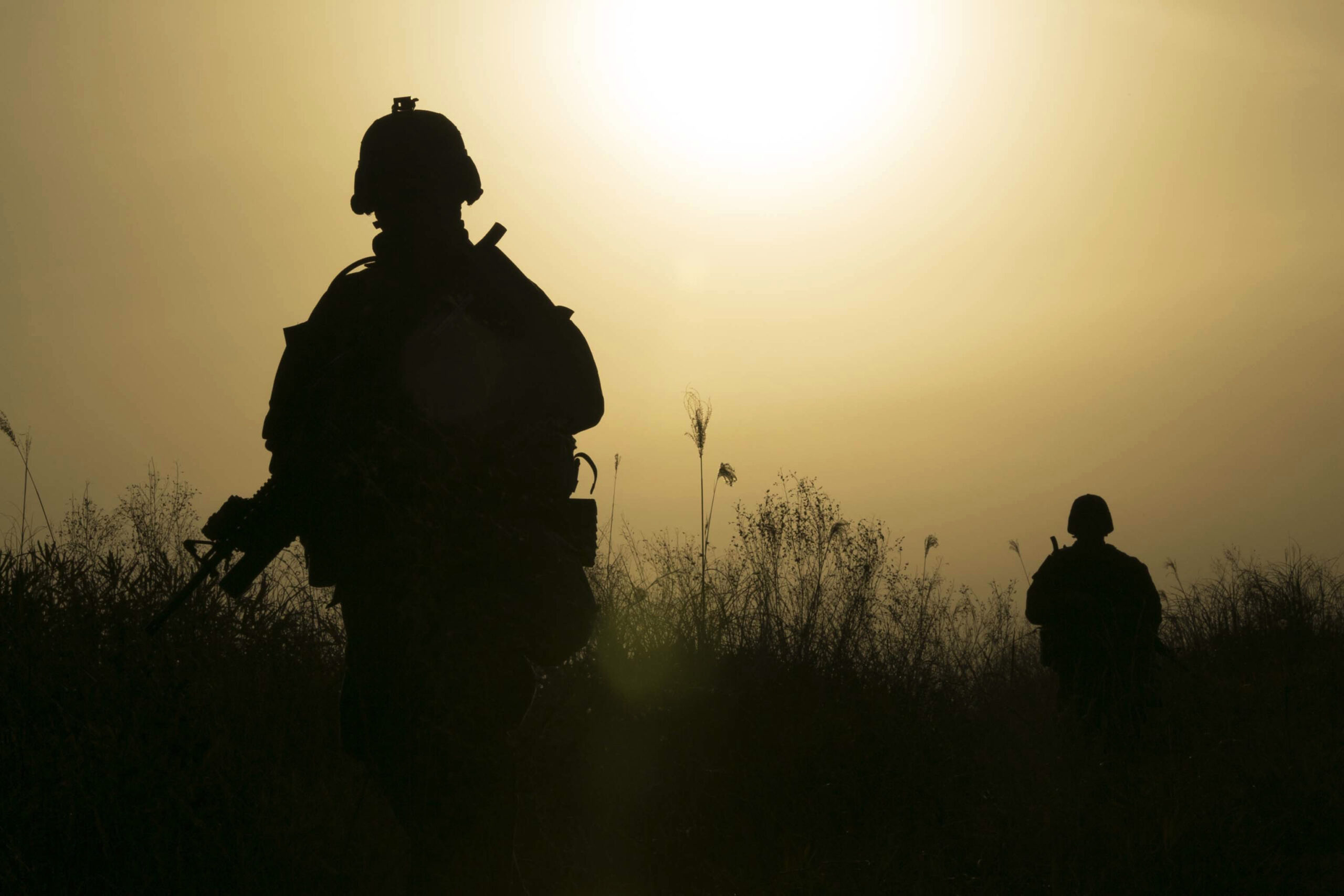 image from rawpixel id 3578987 original scaled